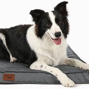 Orthopedic Waterproof Dog Beds for Large Dogs